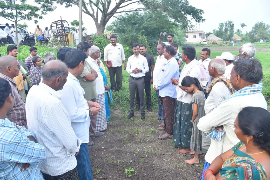 వర్షాభావంతో దెబ్బతిన్న వరి పంట పొలాలను పరిశీలించిన జిల్లా కలెక్టర్ డాక్టర్ వినోద్ కుమార్,వి.,